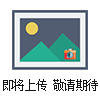 電動(dòng)通風(fēng)蝶閥 D941W-1C DN400